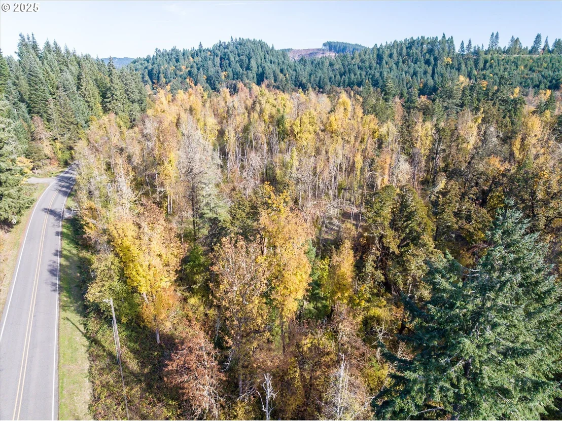 Photo of Siuslaw River RD