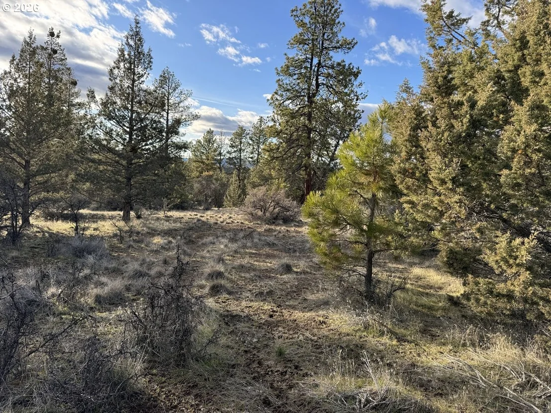 Photo of Unit 35 at Canvasback DR