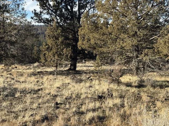Photo of Unit 5 at Canvasback DR