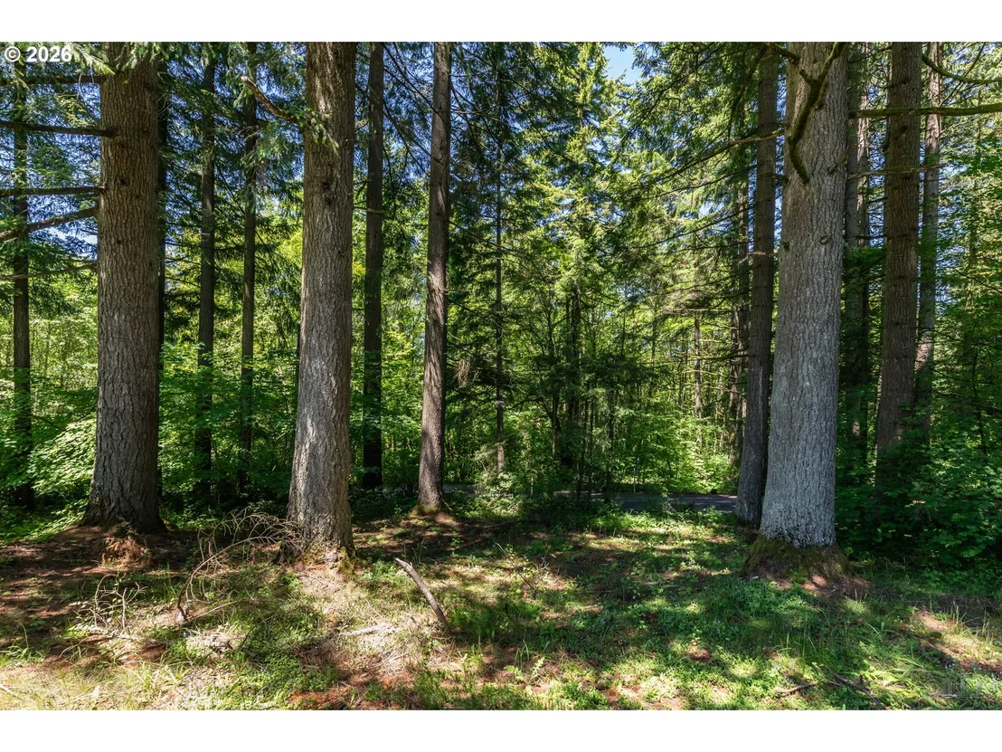 Photo of 27546 CLARK RD
