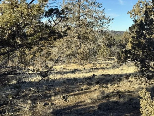 Photo of Unit 5 at Canvasback DR