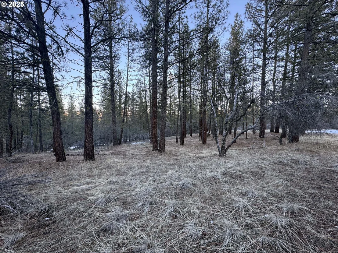 Photo of Unit LOT7 at Bobcat CIR