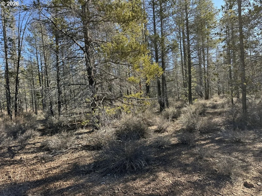 Photo of Unit 11 at Scott View Drive