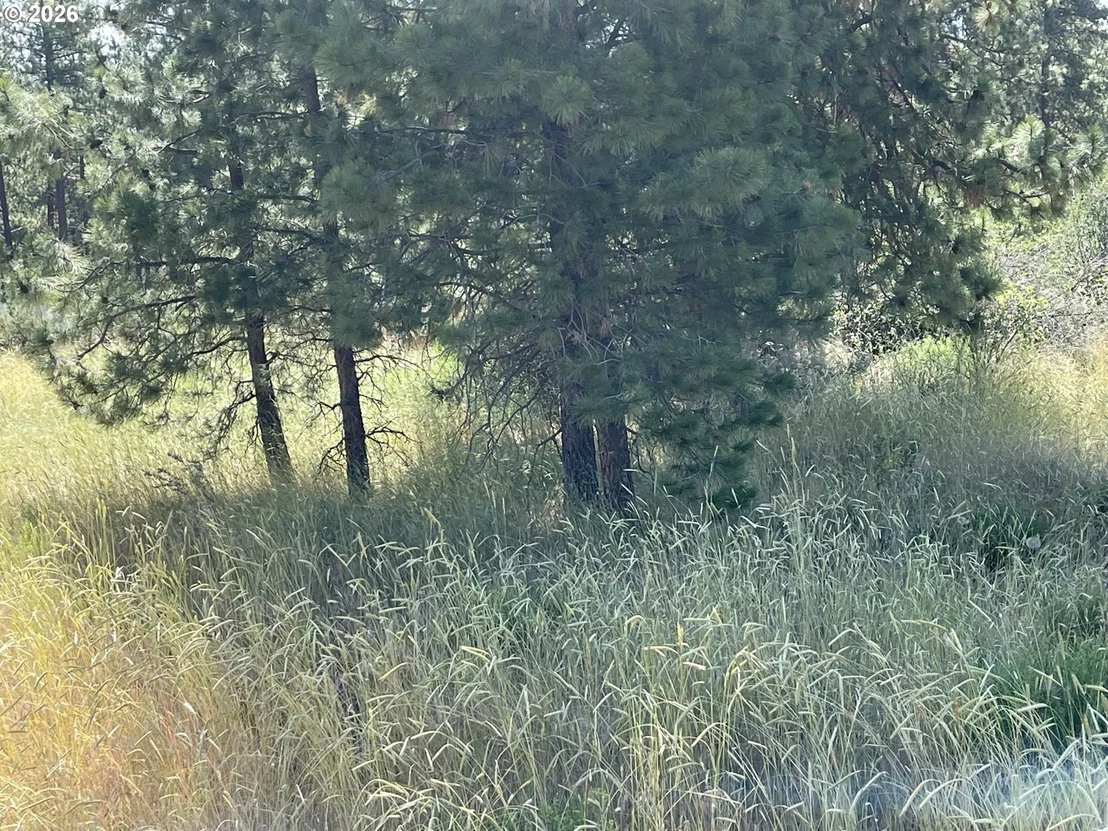 Photo of Unit 100 at S. Chiloquin Road