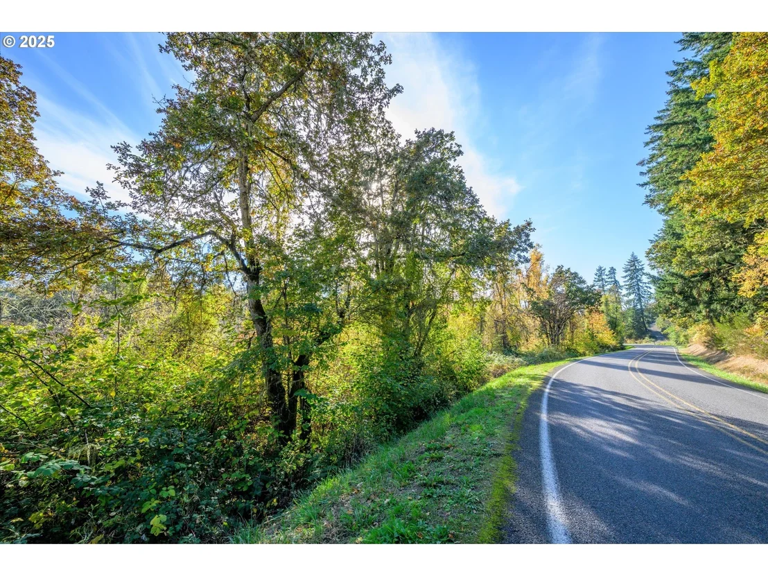 Photo of Siuslaw River RD