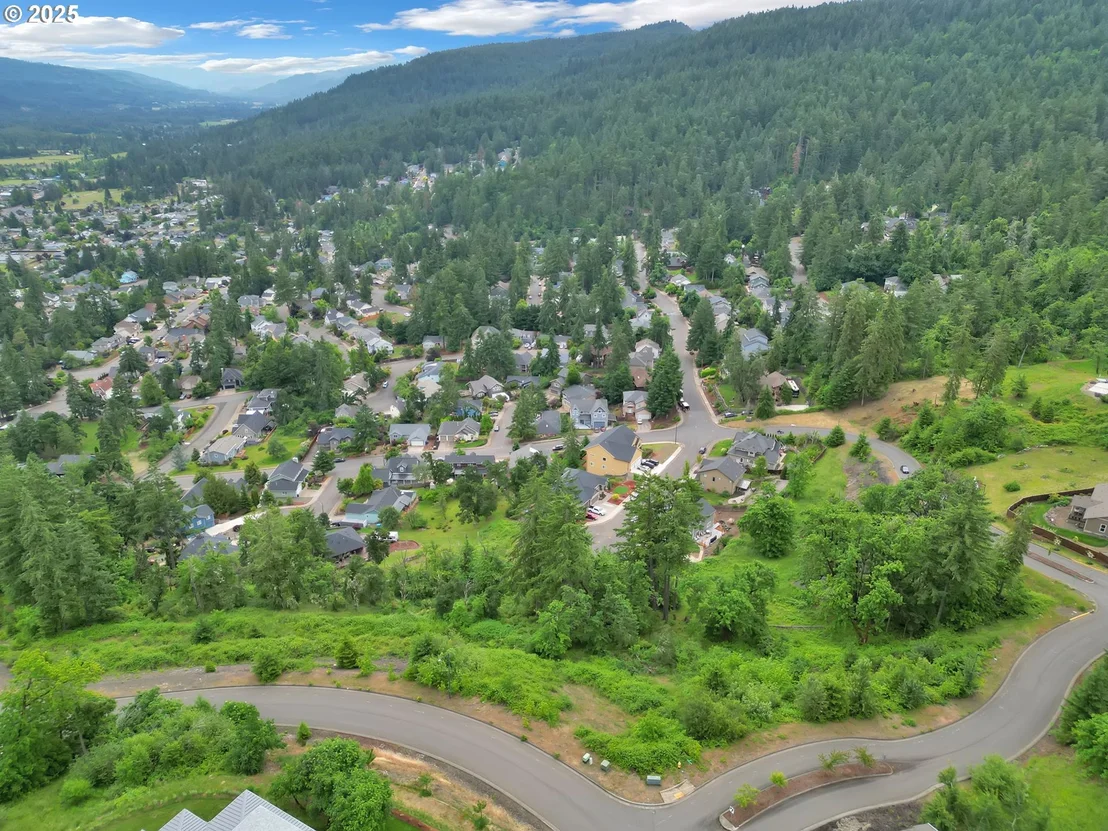 Photo of Forest Ridge