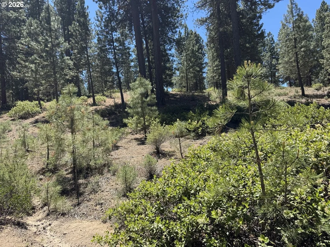Photo of Unit 22 at Incline DR