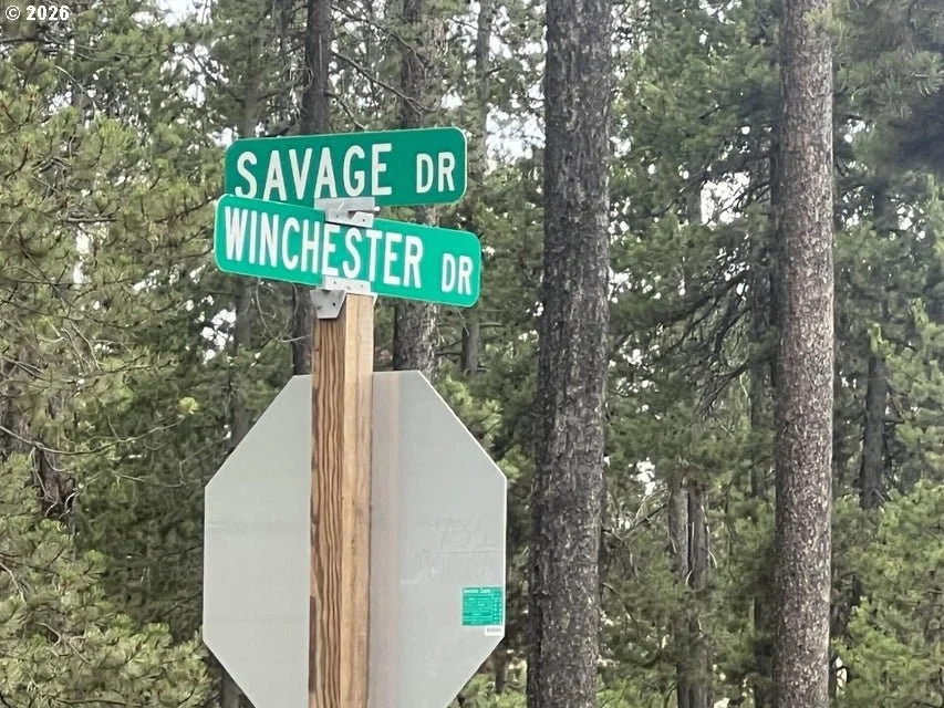 Photo of 55975 SAVAGE DR
