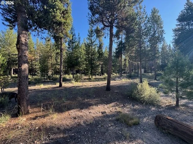 Photo of Unit 100 at Bear Flat RD