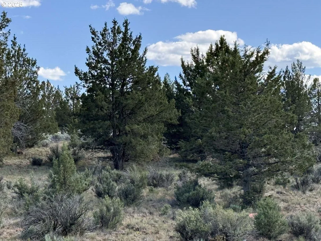 Photo of Unit 300 at HWY 140
