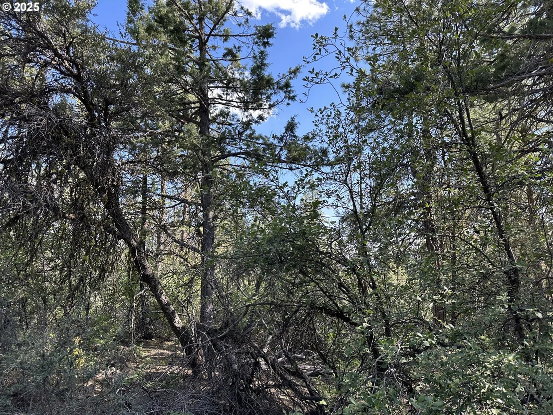 Photo of Unit 2300 at Sandpiper DR