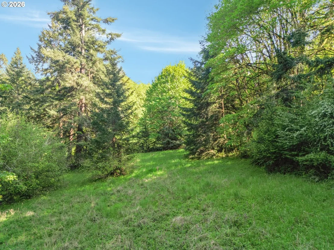 Photo of 43288 RODGERS MOUNTAIN LOOP
