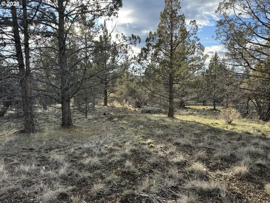 Photo of Unit 36 at Canvasback DR
