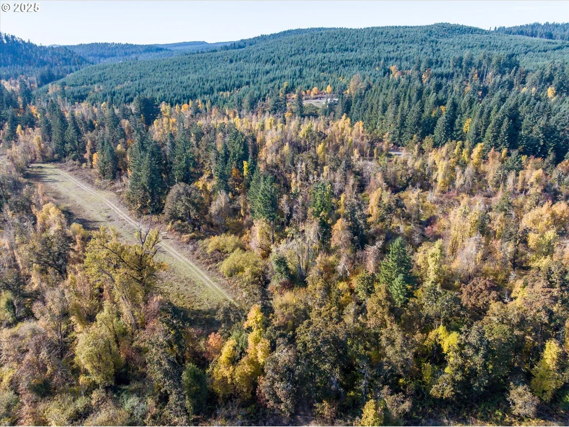 Photo of Siuslaw River RD
