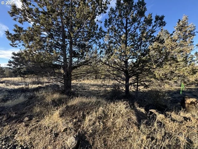 Photo of Unit 5 at Canvasback DR