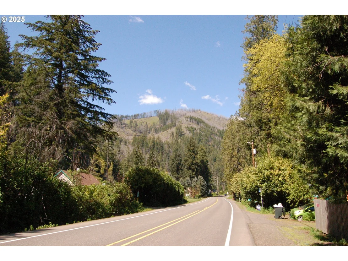 Photo of 49545 MCKENZIE HWY