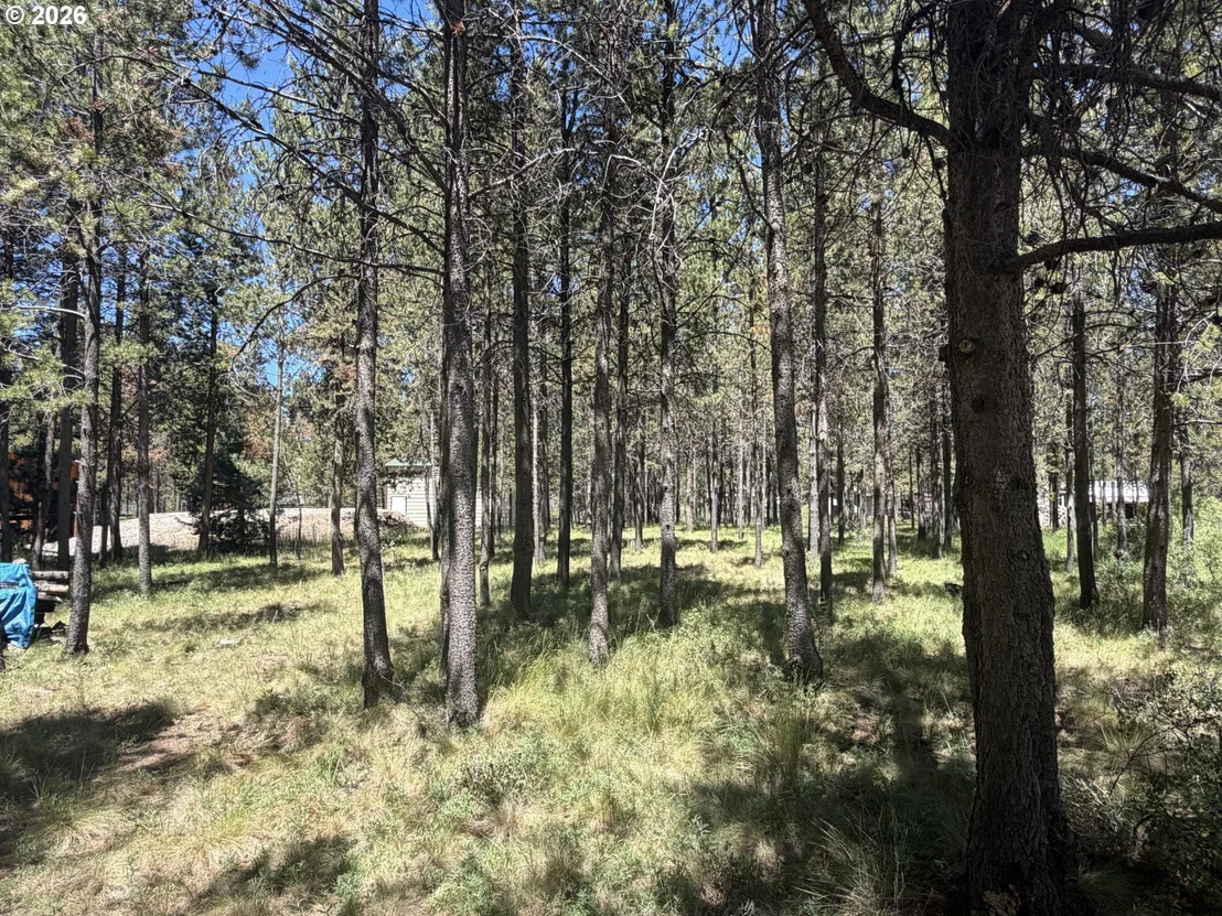 Photo of 17386 GOLDEN EYE DR