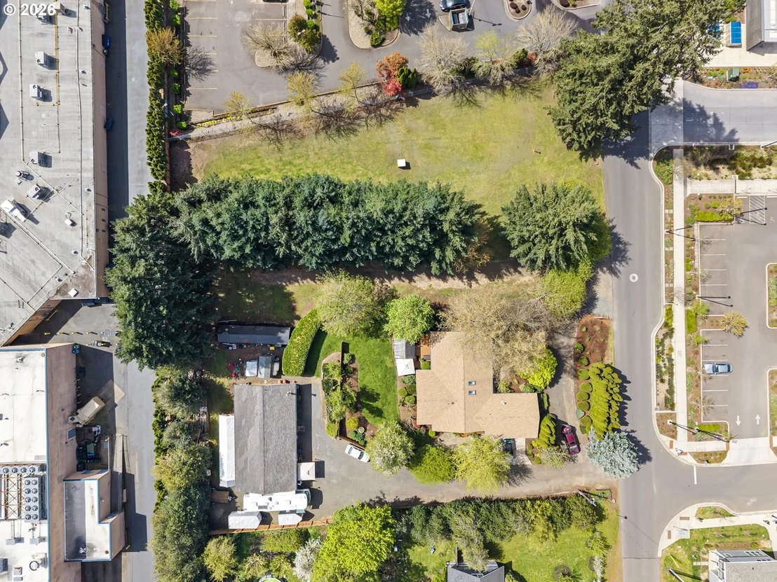 Photo of Green