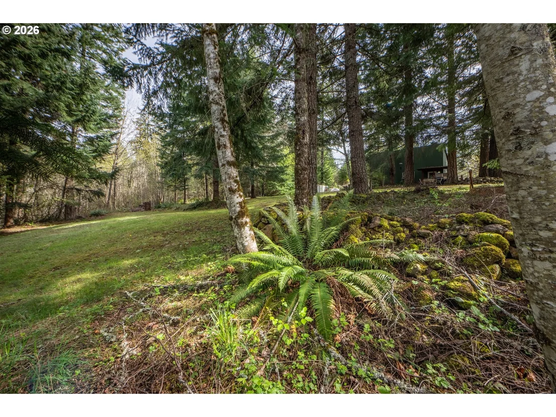 Photo of 39480 SE TUMALA MOUNTAIN RD