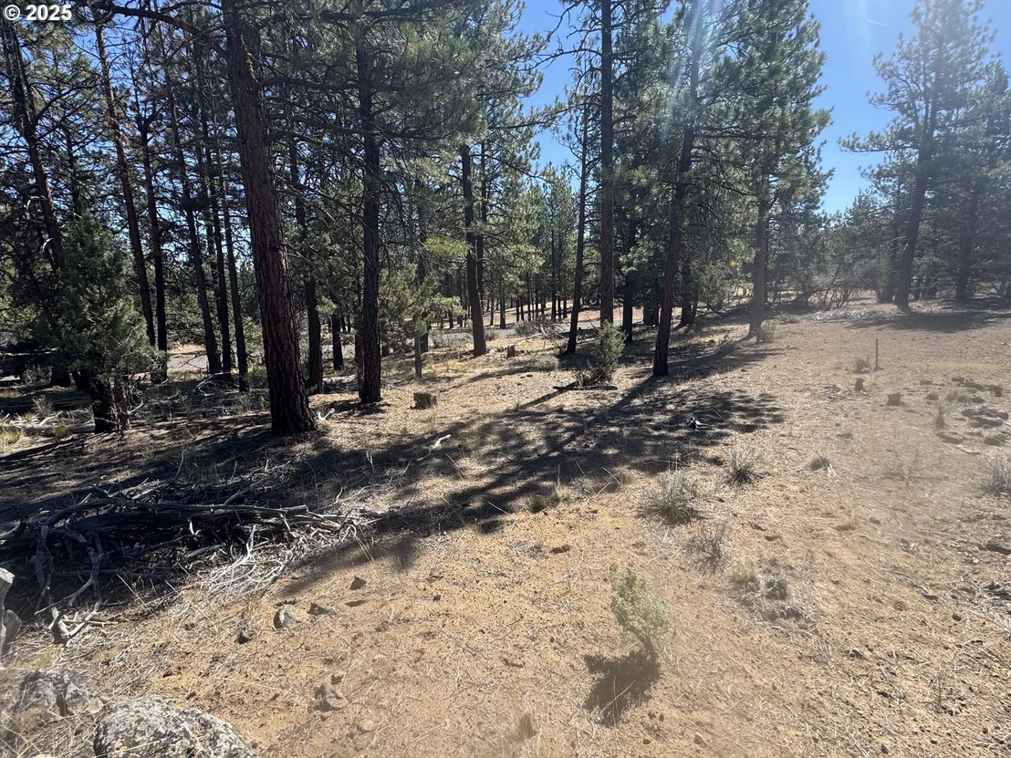 Photo of 32818 JEAN ST