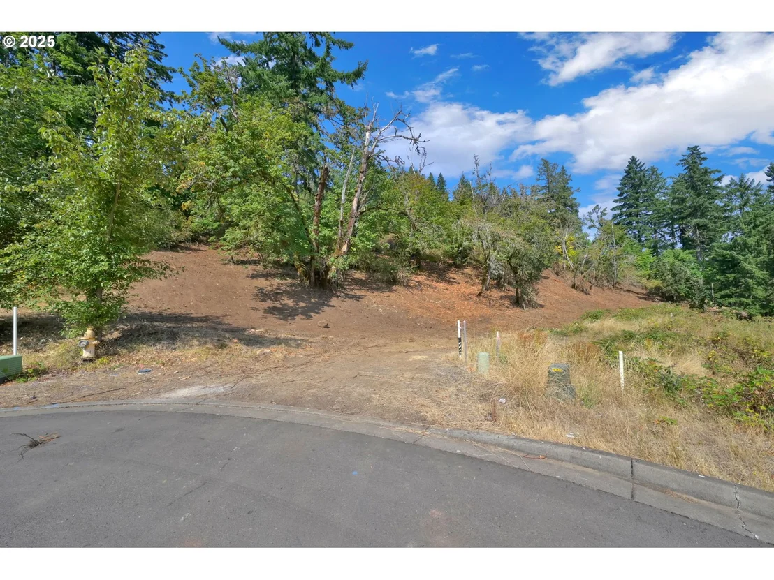 Photo of Forest Ridge Dr