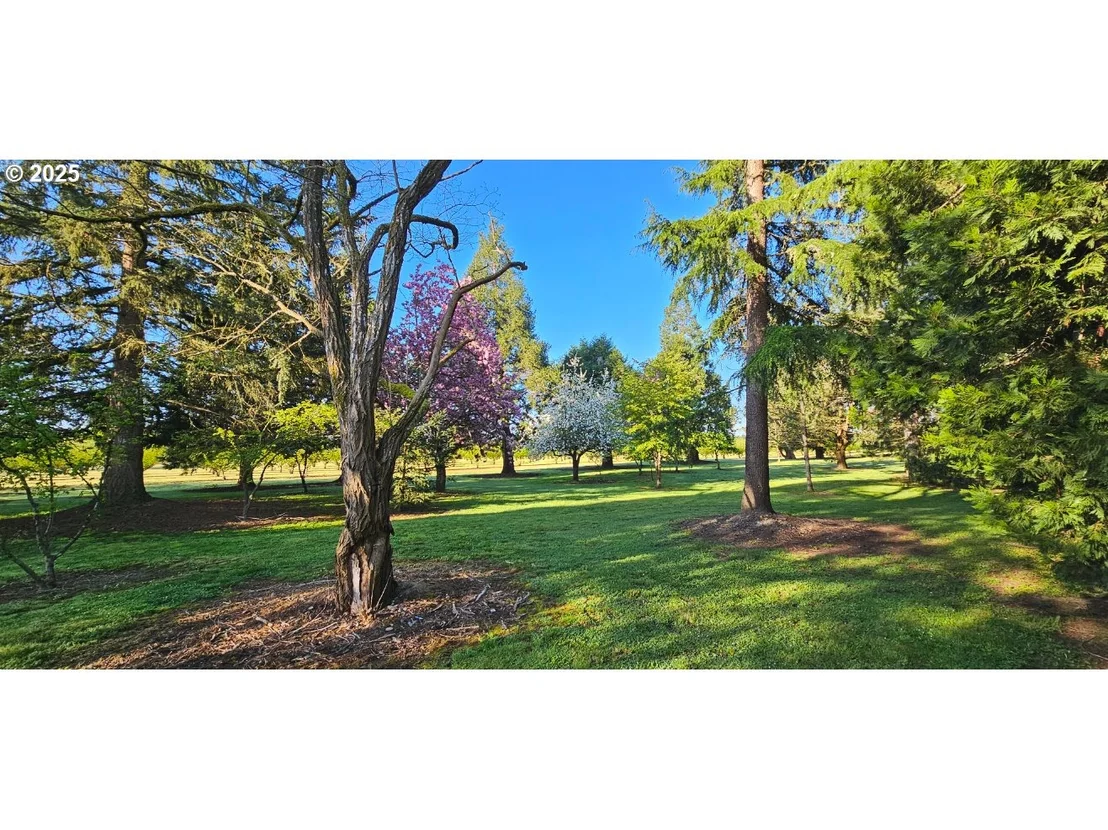 Photo of 93579 RIVER RD