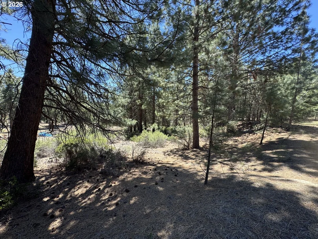 Photo of Unit 12 at Friendship DR