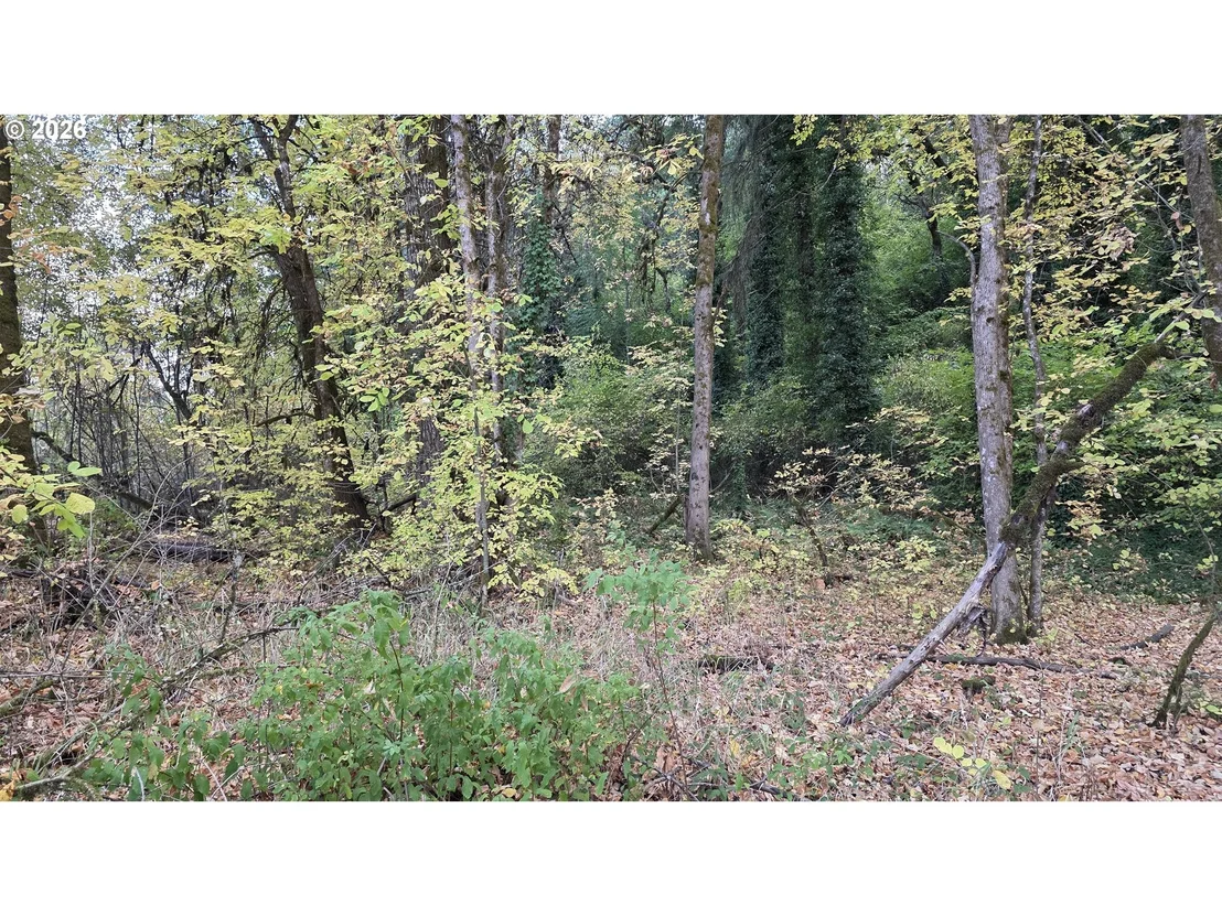 Photo of 93146 APPLEGATE TRL