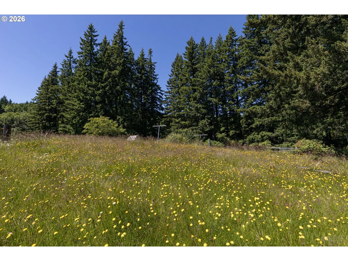 Photo of 27546 CLARK RD