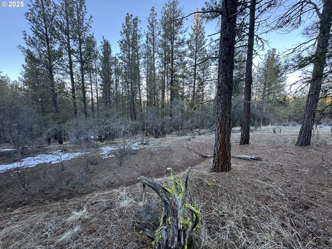Photo of Unit LOT7 at Bobcat CIR