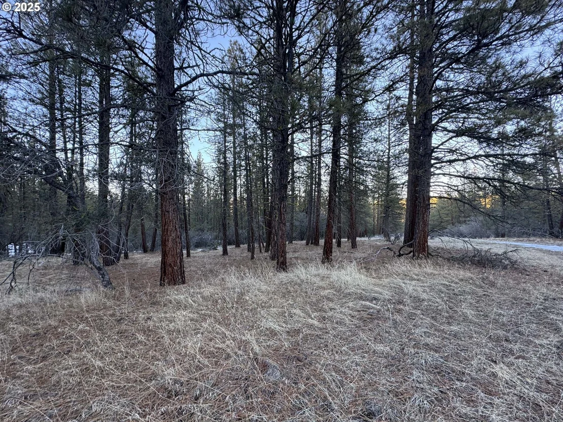 Photo of Unit LOT7 at Bobcat CIR