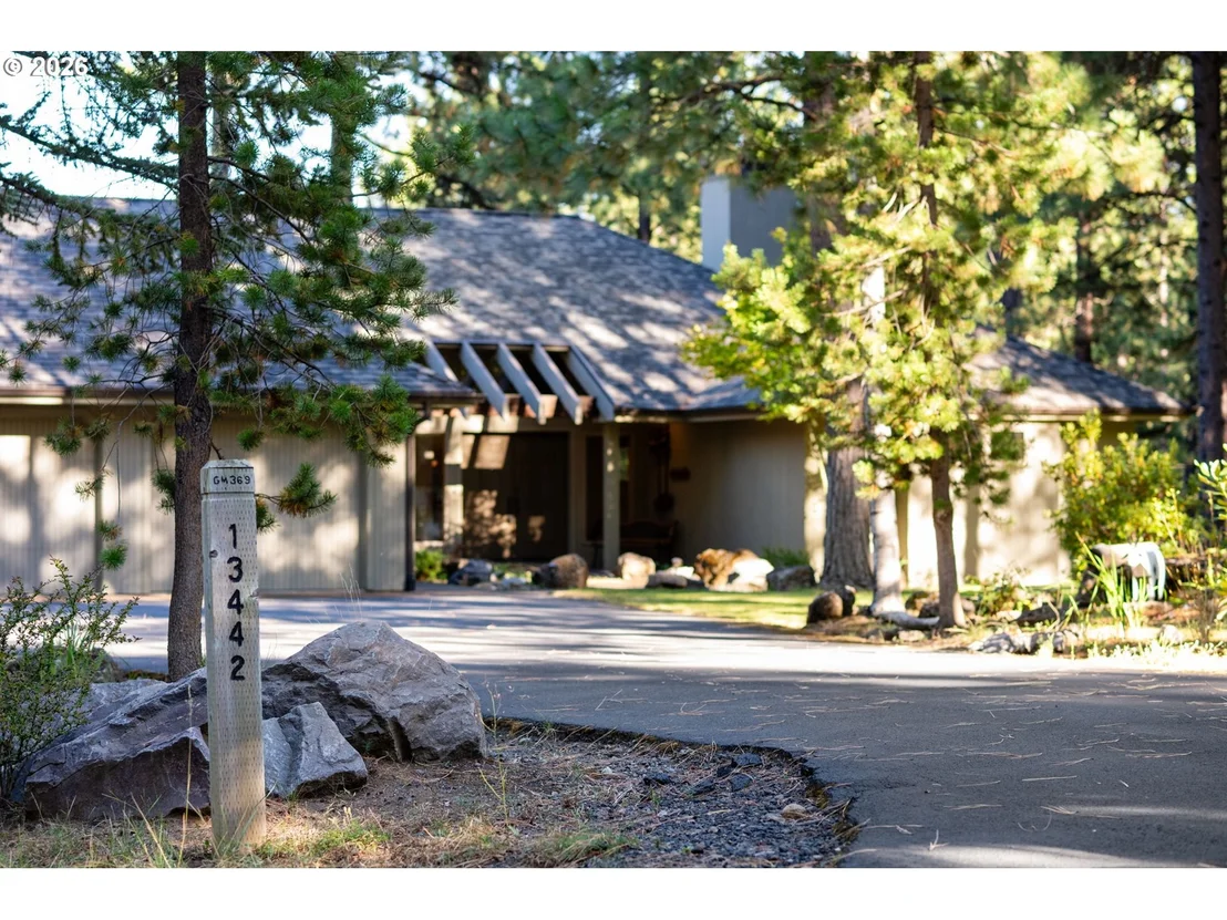 Photo of 13442 Galium