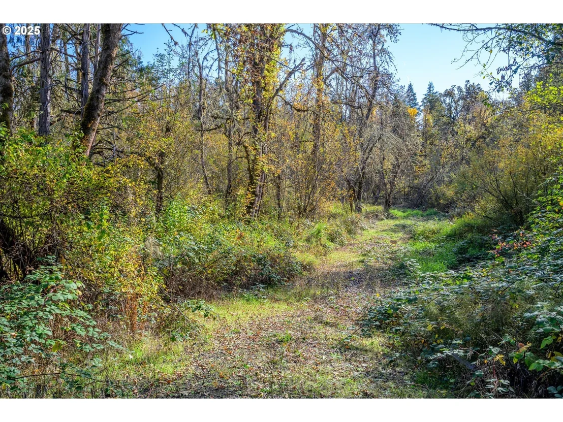 Photo of Siuslaw River RD