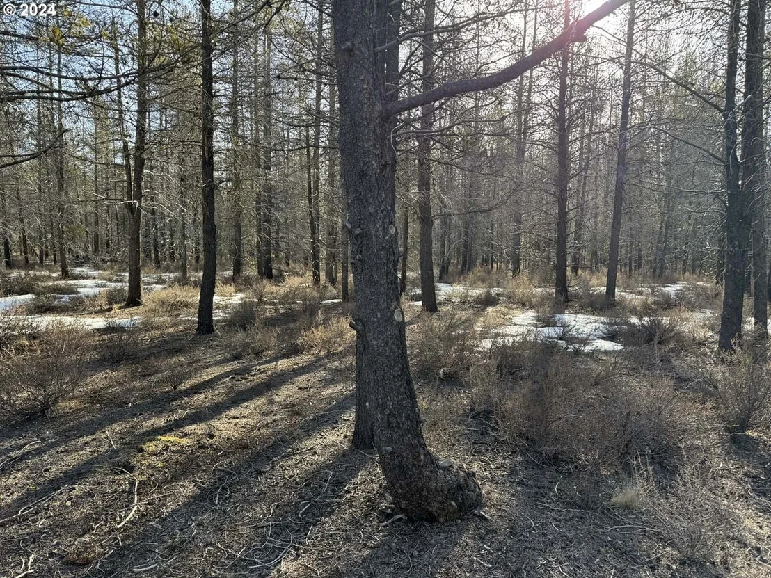 Photo of Unit LOT6 at Scott View Drive