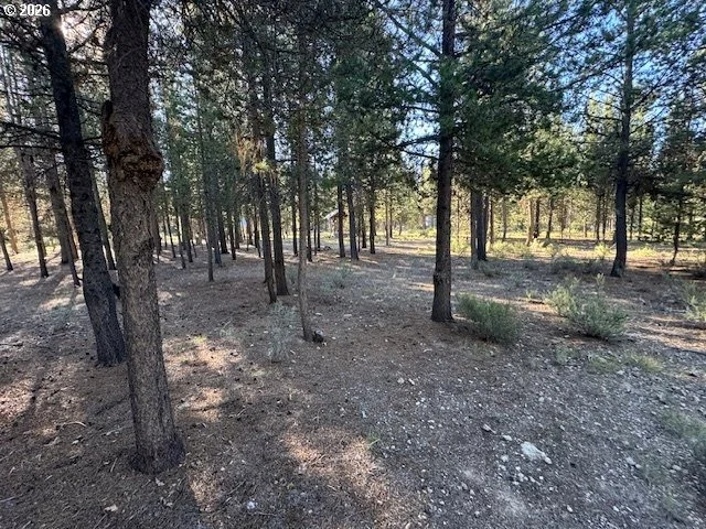 Photo of Unit 100 at Bear Flat RD
