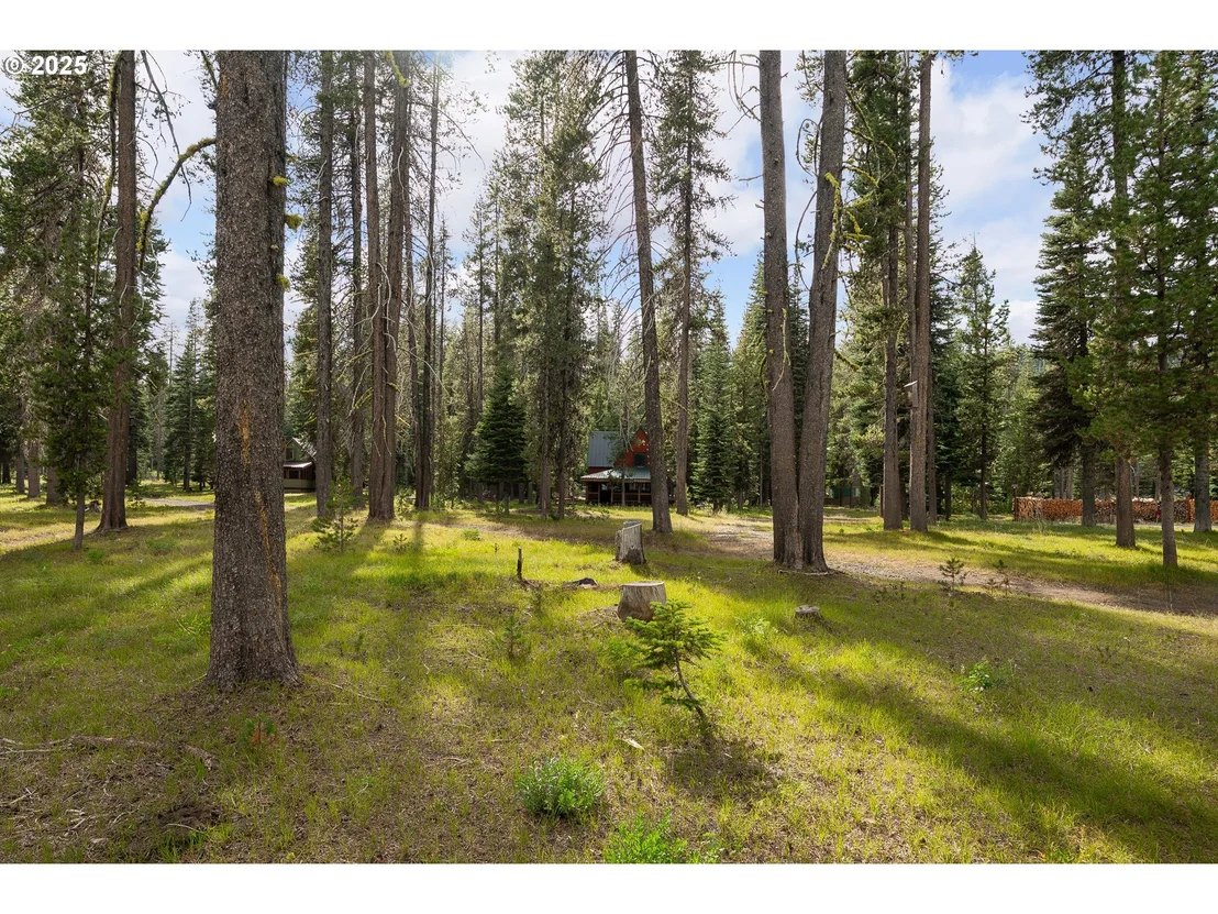 Photo of 85 DIAMOND LAKE LOOP