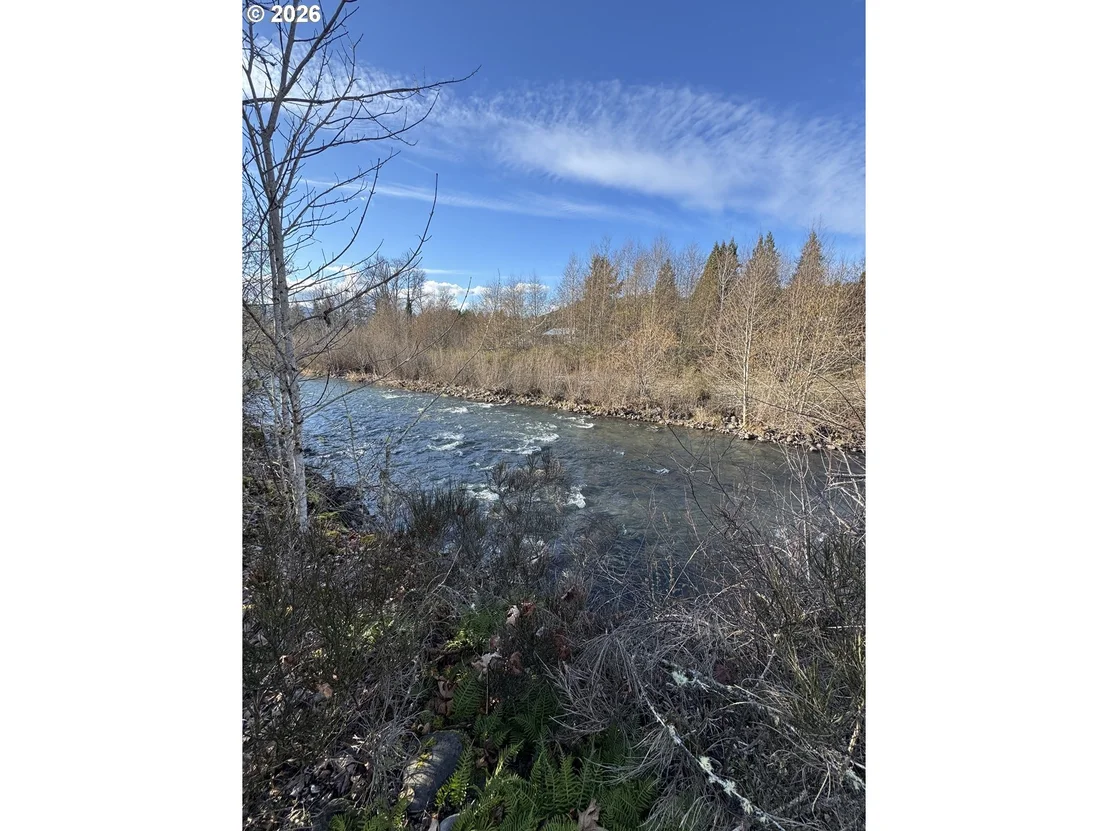 Photo of 48448 ROARING RAPIDS WAY