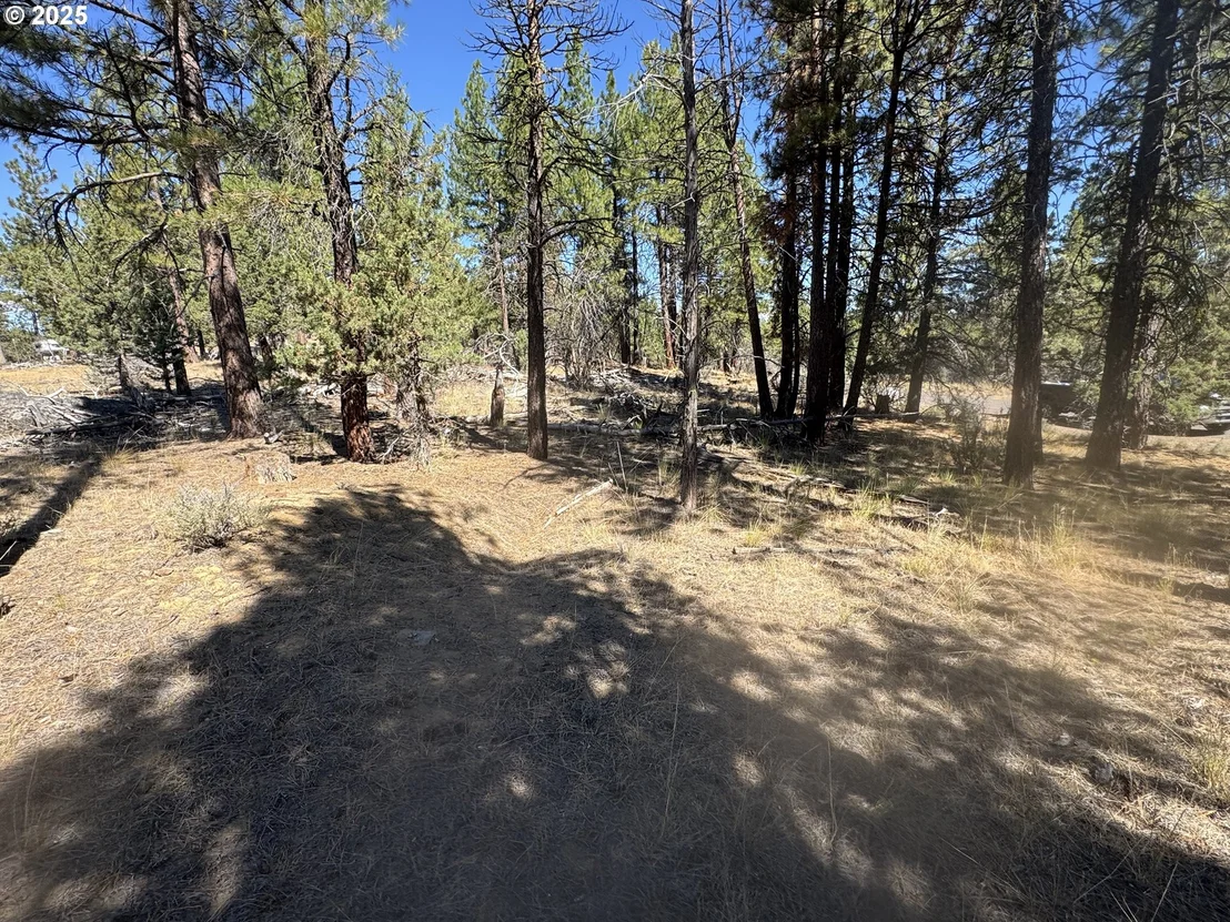 Photo of 32818 JEAN ST