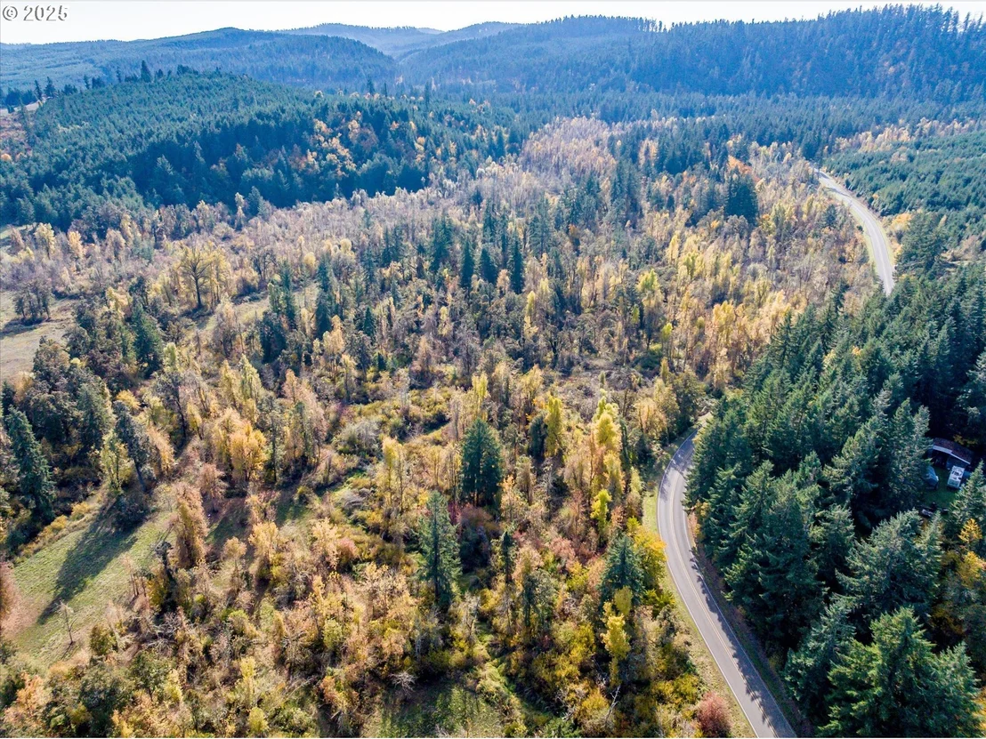 Photo of Siuslaw River RD