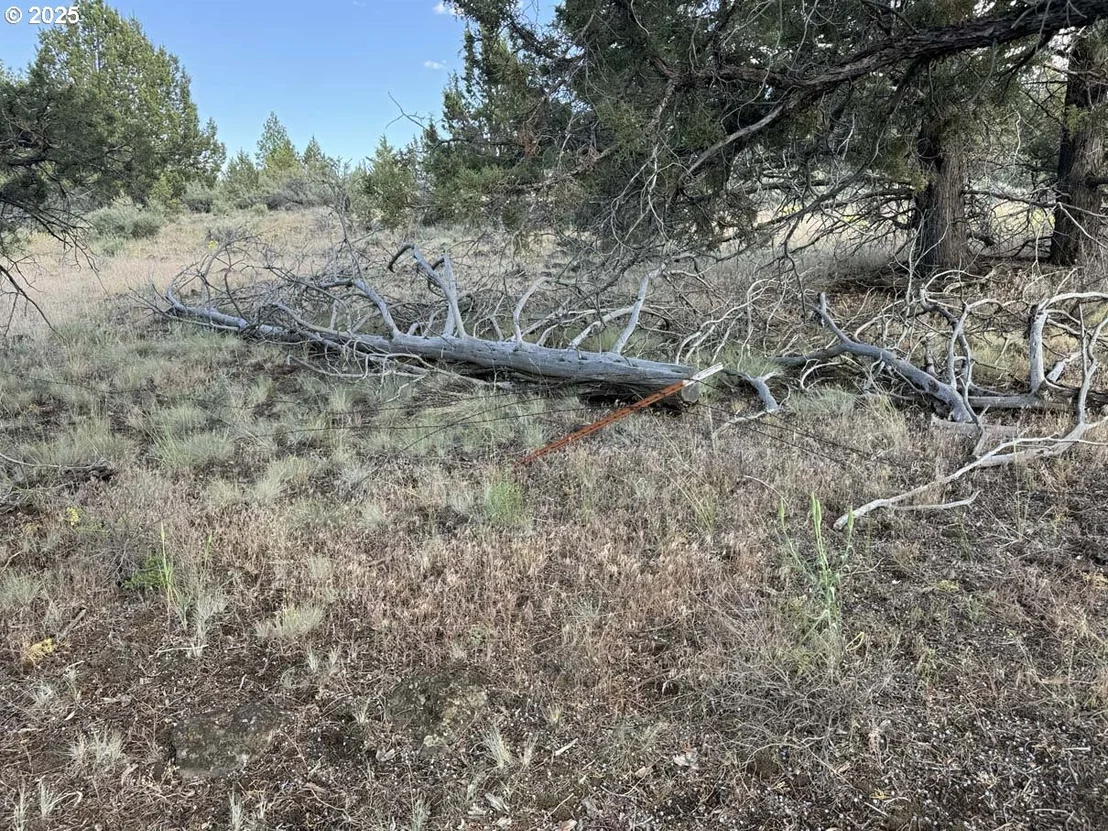 Photo of Unit 300 at HWY 140