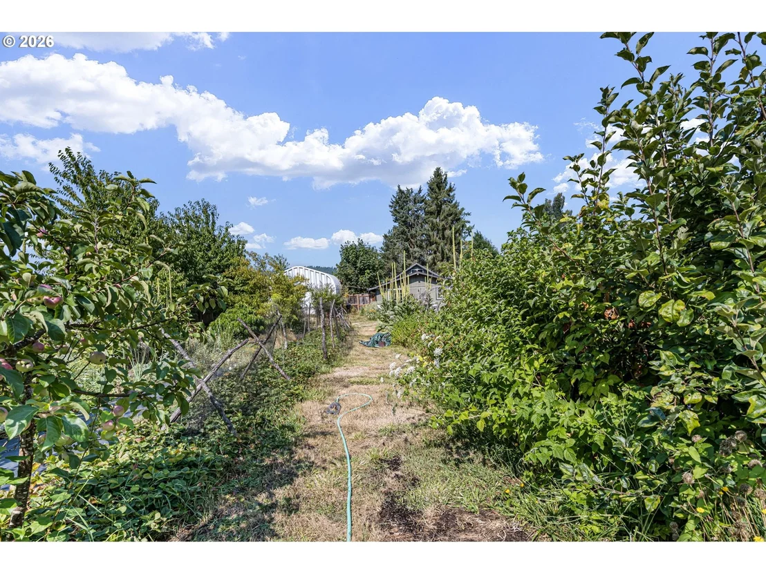 Photo of 78807 TERRITORIAL RD