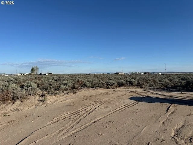 Photo of Unit 3000 at Bark Loop