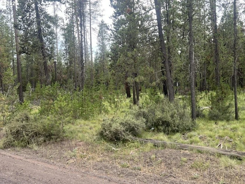 Photo of 55975 SAVAGE DR