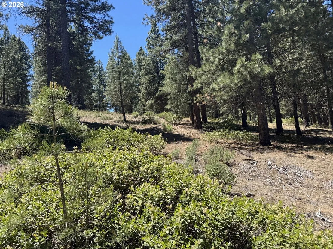 Photo of Unit 22 at Incline DR