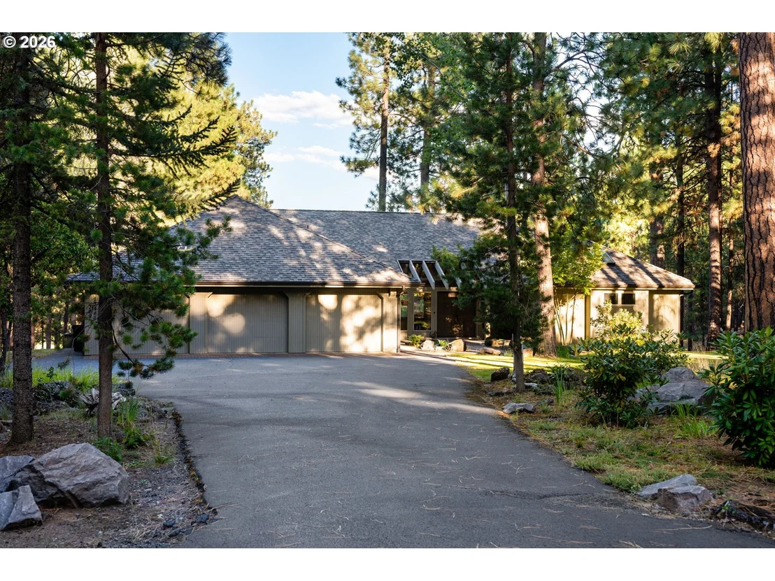 Photo of 13442 Galium