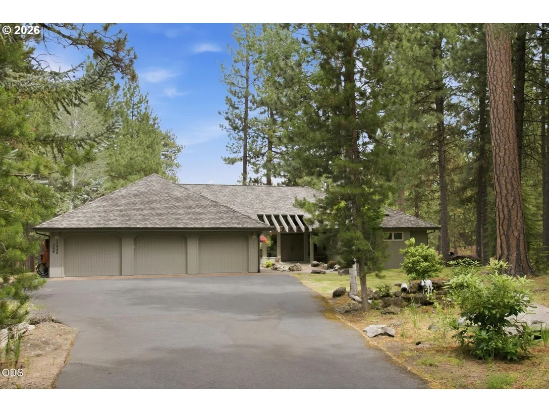 Photo of 13442 Galium