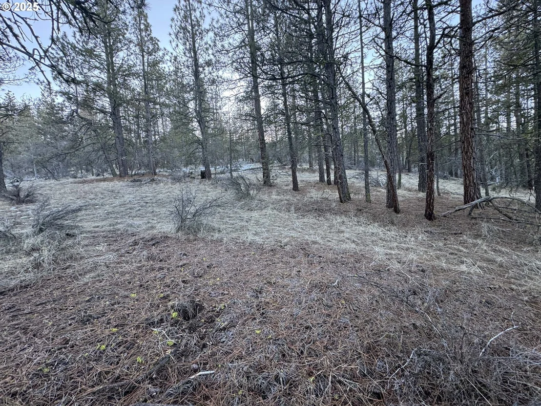 Photo of Unit LOT7 at Bobcat CIR