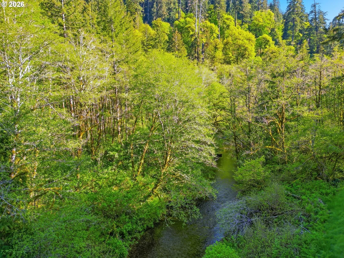 Photo of Upper North Fork RD