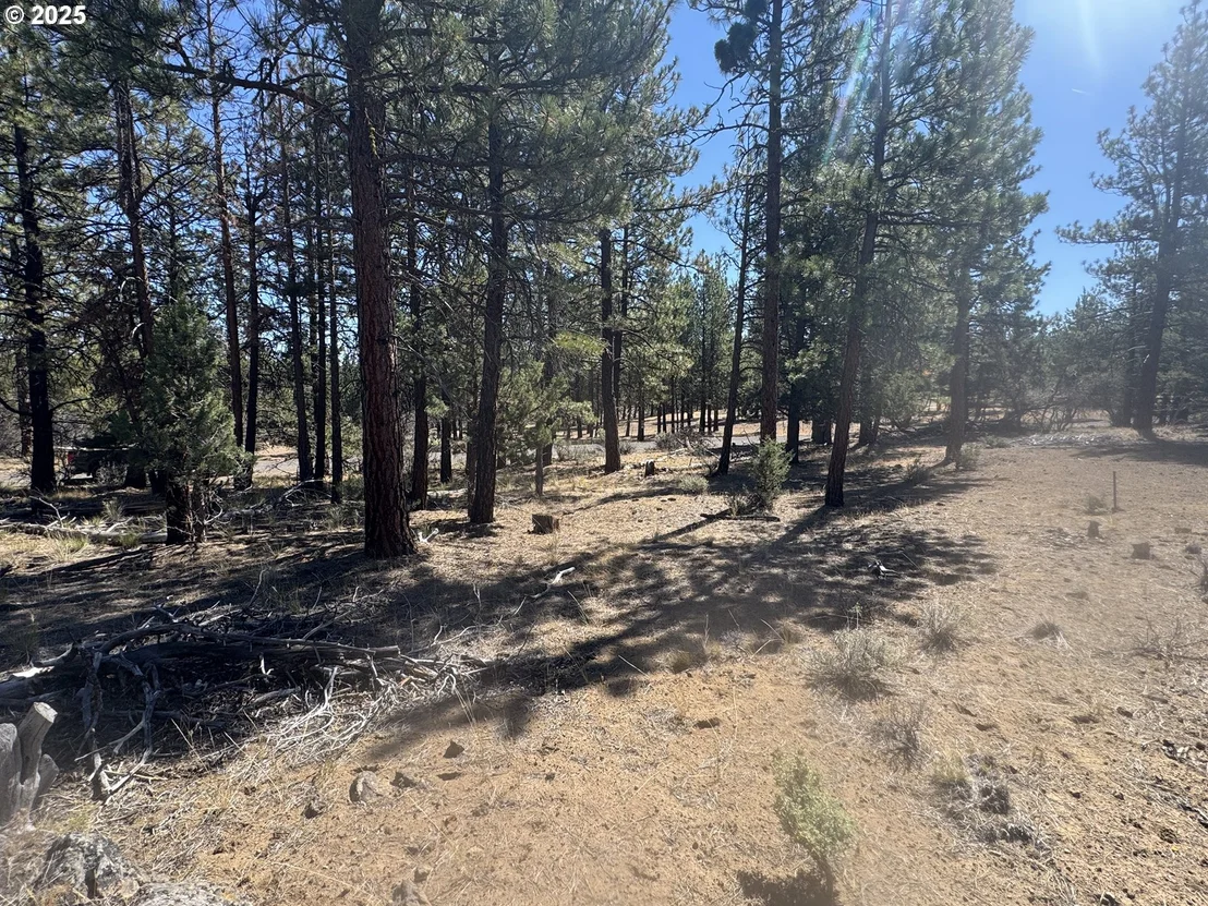 Photo of 32818 JEAN ST