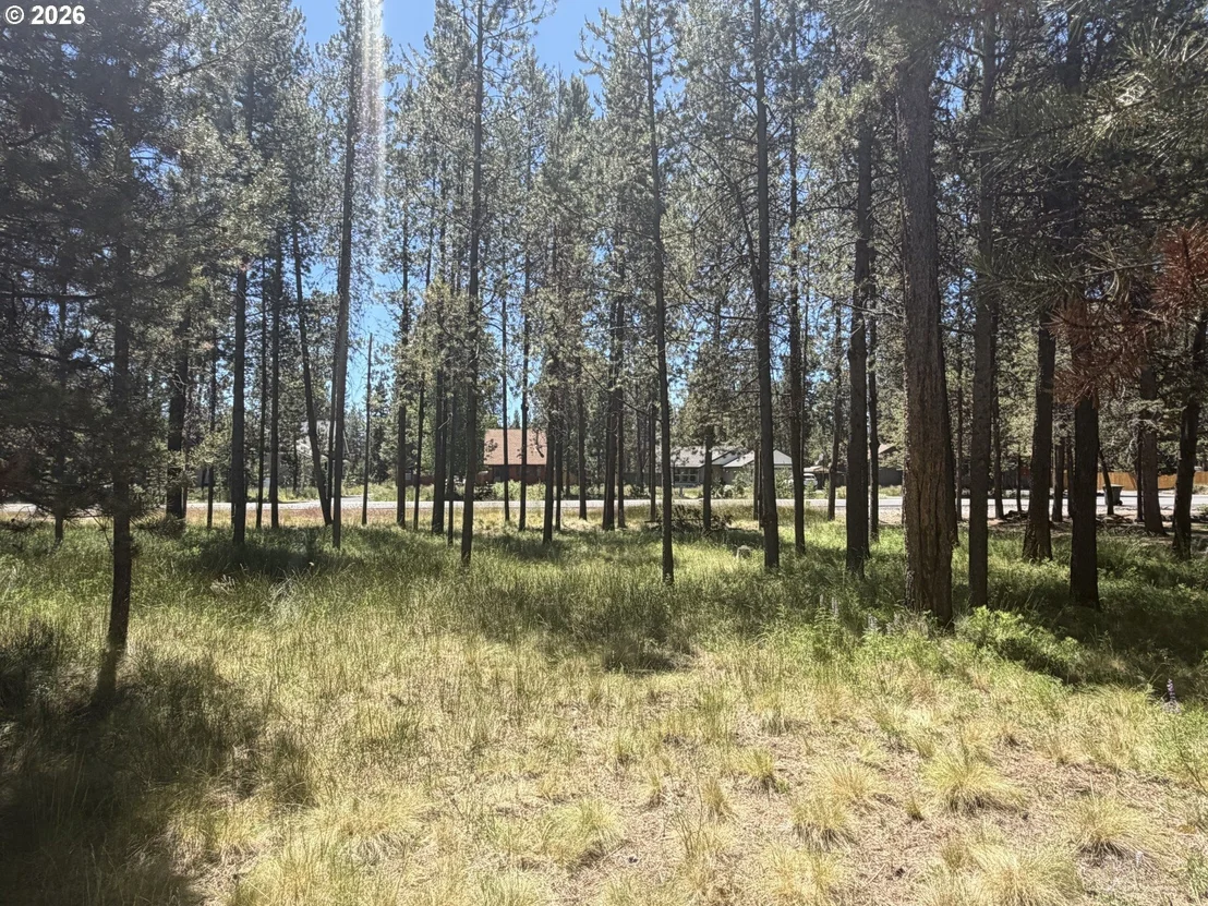 Photo of 17386 GOLDEN EYE DR